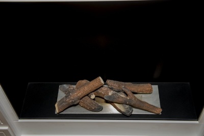 Декоративные элементы СОСНА МАКСИ FireBird